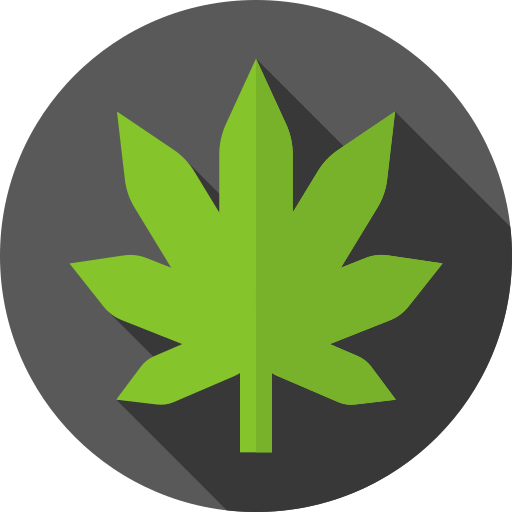 Cannabis Tinctures: A Gentle Path to Wellness